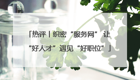 热评丨织密“服务网” 让“好人才”遇见“好职位”