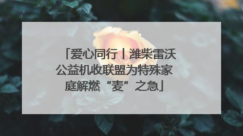 爱心同行丨潍柴雷沃公益机收联盟为特殊家庭解燃“麦”之急