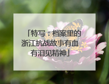 特写：档案里的浙江抗战故事有血有泪见精神