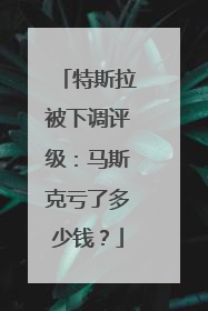 特斯拉被下调评级：马斯克亏了多少钱？