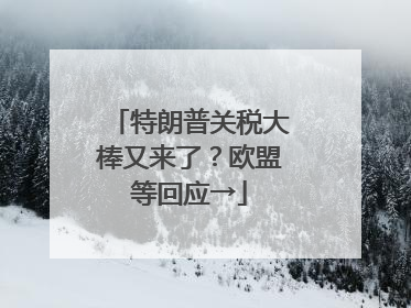 特朗普关税大棒又来了？欧盟等回应→