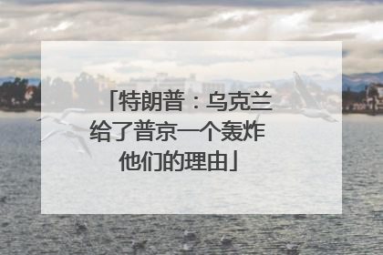 特朗普：乌克兰给了普京一个轰炸他们的理由
