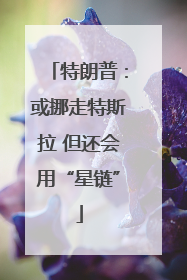 特朗普：或挪走特斯拉 但还会用“星链”