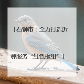 石狮市：全力打造近邻服务“红色枢纽”