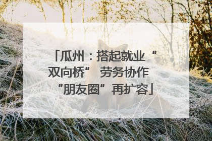 瓜州：搭起就业“双向桥” 劳务协作“朋友圈”再扩容