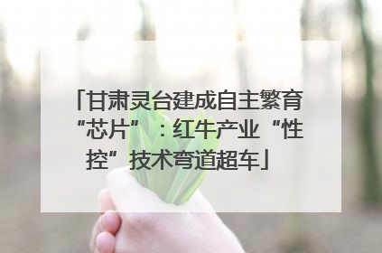 甘肃灵台建成自主繁育“芯片”：红牛产业“性控”技术弯道超车
