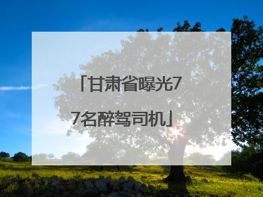 甘肃省曝光77名醉驾司机