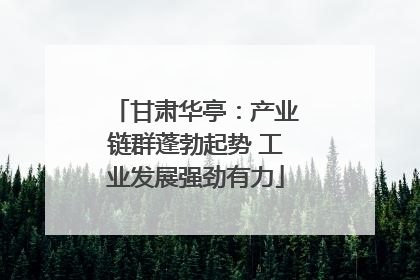 甘肃华亭：产业链群蓬勃起势 工业发展强劲有力