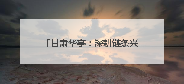 甘肃华亭：深耕链条兴产业 逐梦沃野绘新景
