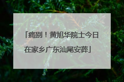 痛别！黄旭华院士今日在家乡广东汕尾安葬