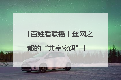 百姓看联播丨丝网之都的“共享密码”