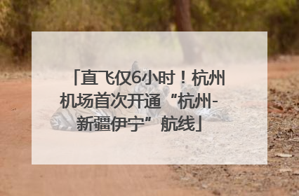 直飞仅6小时！杭州机场首次开通“杭州-新疆伊宁”航线