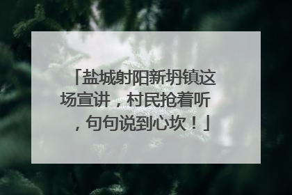 盐城射阳新坍镇这场宣讲，村民抢着听，句句说到心坎！