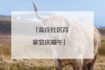 盐庄社区百家宴庆端午