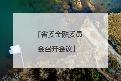 省委金融委员会召开会议