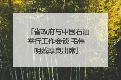 省政府与中国石油举行工作会谈 毛伟明戴厚良出席
