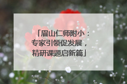 眉山仁师附小：专家引领促发展，精研课题启新篇