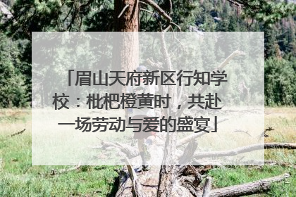眉山天府新区行知学校：枇杷橙黄时，共赴一场劳动与爱的盛宴