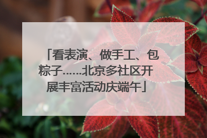 看表演、做手工、包粽子……北京多社区开展丰富活动庆端午
