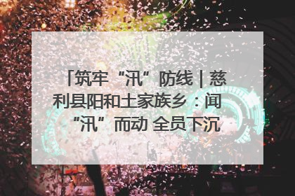 筑牢“汛”防线｜慈利县阳和土家族乡：闻“汛”而动 全员下沉筑牢防汛“安全堤”