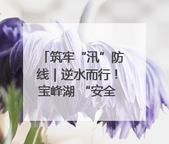 筑牢“汛”防线｜逆水而行！宝峰湖 “安全卫士” 出鞘 防汛应急再添硬核力量