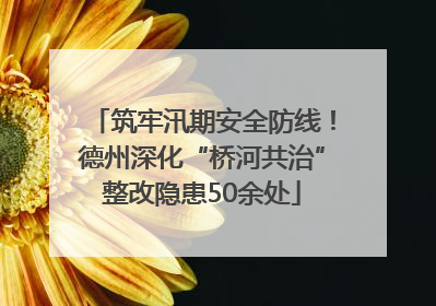 筑牢汛期安全防线！德州深化“桥河共治”整改隐患50余处