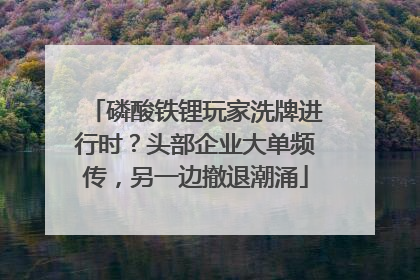磷酸铁锂玩家洗牌进行时？头部企业大单频传，另一边撤退潮涌