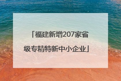 福建新增207家省级专精特新中小企业