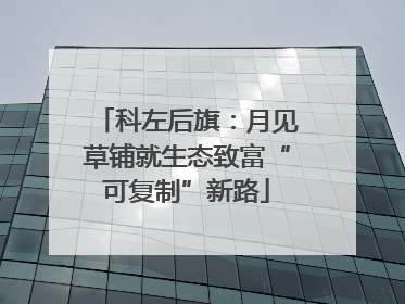 科左后旗：月见草铺就生态致富“可复制”新路