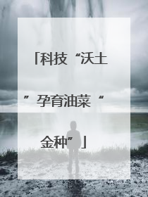 科技“沃土”孕育油菜“金种”