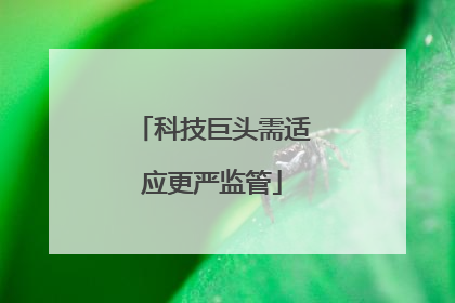 科技巨头需适应更严监管