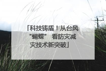 科技铸盾！从台风“蝴蝶” 看防灾减灾技术新突破