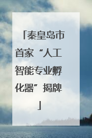 秦皇岛市首家“人工智能专业孵化器”揭牌