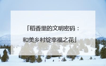 稻香里的文明密码：和美乡村绽幸福之花