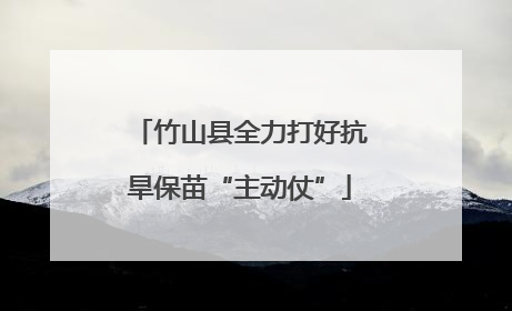 竹山县全力打好抗旱保苗“主动仗”