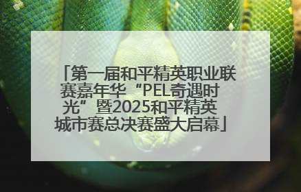第一届和平精英职业联赛嘉年华“PEL奇遇时光”暨2025和平精英城市赛总决赛盛大启幕