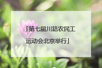 第七届川籍农民工运动会北京举行