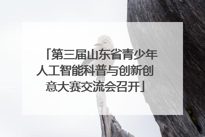 第三届山东省青少年人工智能科普与创新创意大赛交流会召开
