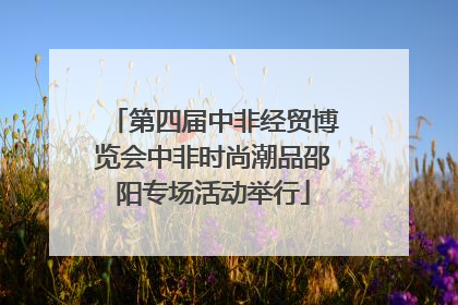 第四届中非经贸博览会中非时尚潮品邵阳专场活动举行