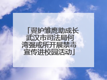 翼护雏鹰助成长 武汉市司法局何湾强戒所开展禁毒宣传进校园活动