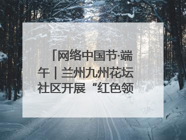 网络中国节·端午｜兰州九州花坛社区开展“红色领航 粽香敬老”端午主题活动