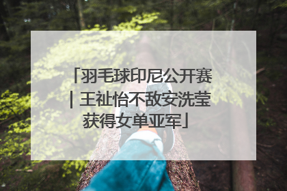 羽毛球印尼公开赛｜王祉怡不敌安洗莹 获得女单亚军