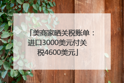 美商家晒关税账单：进口3000美元付关税4600美元
