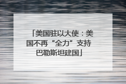 美国驻以大使：美国不再“全力”支持巴勒斯坦建国