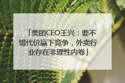 美团CEO王兴：要不惜代价赢下竞争，外卖行业存在非理性内卷