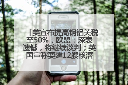 美宣布提高钢铝关税至50%，欧盟：深表遗憾，将继续谈判；英国宣称要建12艘核潜艇；马斯克最新发声：不想为美政府所做的一切承担责任丨早报