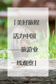 美好旅程 活力中国——旅游业一线观察
