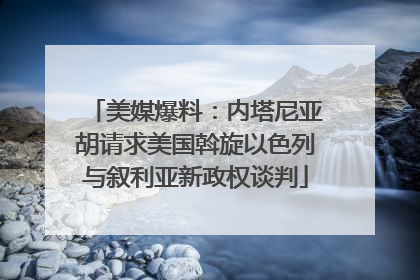 美媒爆料：内塔尼亚胡请求美国斡旋以色列与叙利亚新政权谈判