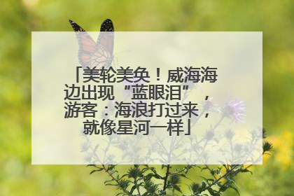 美轮美奂！威海海边出现“蓝眼泪”，游客：海浪打过来，就像星河一样
