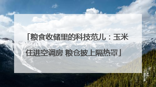 粮食收储里的科技范儿：玉米住进空调房 粮仓披上隔热罩
